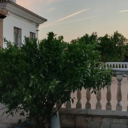 El Vergel *