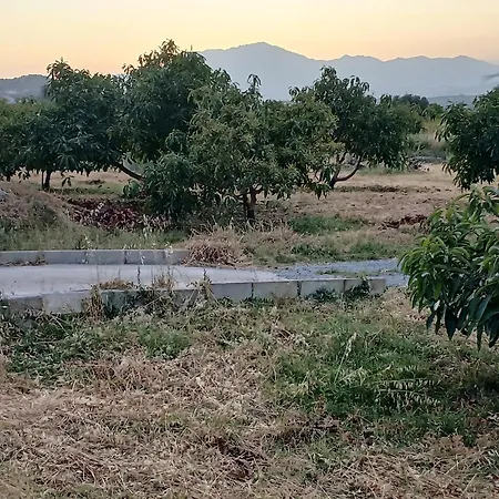 El Vergel Holiday home