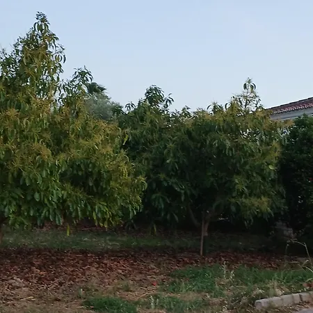El Vergel